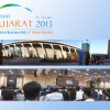 Vibrant Gujarat